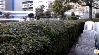 五星物语无套暴插杭州大学生母狗收徒，浙江资源私